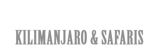 Lyimo Expeditions
