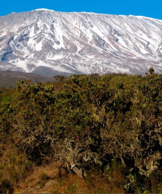 Mount Kilimanjaro