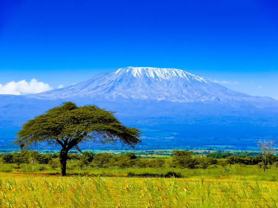 Mount Kilimanjaro